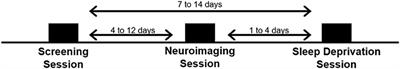 Rested-Baseline Responsivity of the Ventral Striatum Is Associated With Caloric and Macronutrient Intake During One Night of Sleep Deprivation